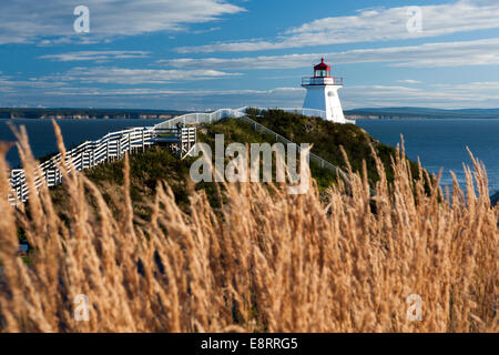 Phare du cap Enragé - Nouveau-Brunswick, Canada Banque D'Images