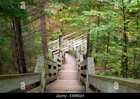 Sentier Dickson Falls - parc national de Fundy - près d'Alma, au Nouveau-Brunswick, Canada Banque D'Images