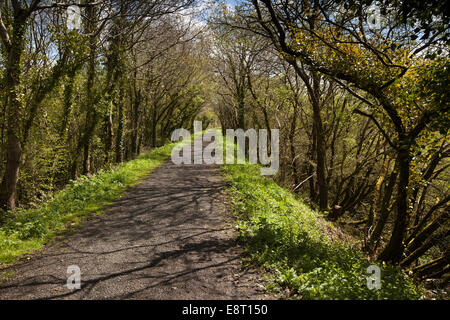 Royaume-uni, Angleterre, Devon, East Yarde, Tarka Trail le long de la ligne de chemin de fer désaffectée Banque D'Images