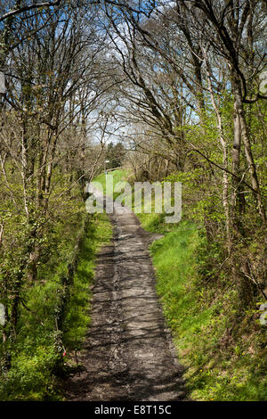 Royaume-uni, Angleterre, Devon, Great Torrington, Tarka Trail Banque D'Images