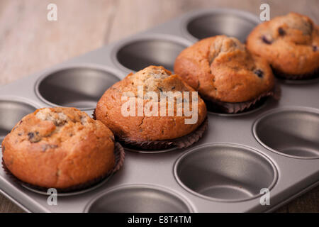 Muffins dans une plaque à pâtisserie Banque D'Images