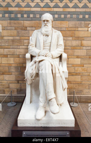 Statue de Charles Darwin au Natural History Museum, Kensington, Londres, Angleterre, Royaume-Uni. Banque D'Images