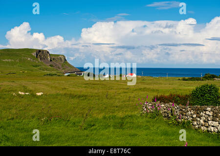 Près de Bornesketaig littoral, île de Skye, Hébrides intérieures, Ecosse, Royaume-Uni Banque D'Images