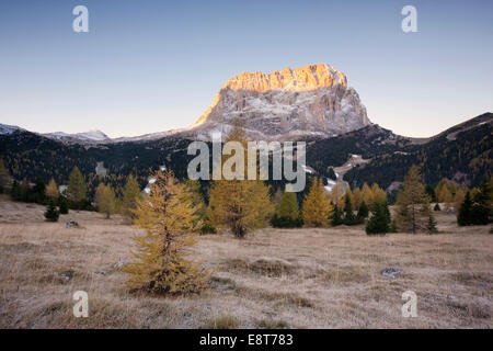 Mt Langkofel ou Sasso Lungo du Gardena pass road, à l'automne, Dolomites, Tyrol du Sud, l'Alto Adige, Italie Banque D'Images