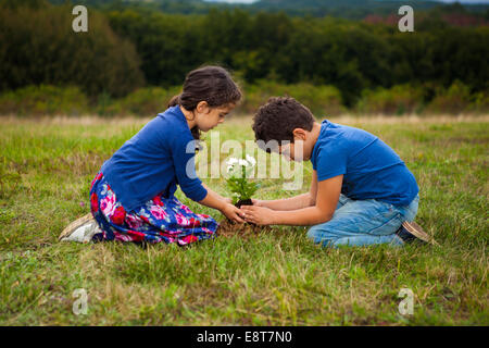 Enfants jardinage à park Banque D'Images