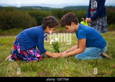 Enfants jardinage à park Banque D'Images