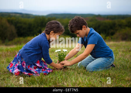 Enfants jardinage à park Banque D'Images