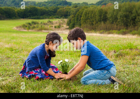 Enfants jardinage à park Banque D'Images