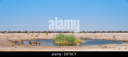 Chudob waterhole, Etosha National Park, Namibie Banque D'Images