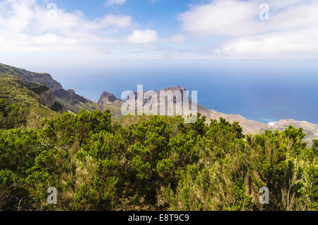 Vue depuis le belvédère Mirador de Alojera dans le Parc National de Garajonay, La Gomera, Canary Islands, Spain Banque D'Images