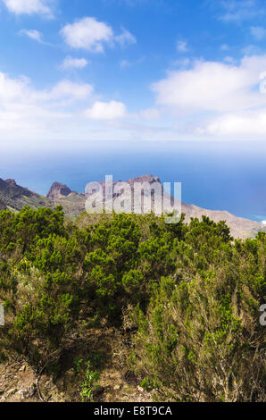 Vue depuis le belvédère Mirador de Alojera dans le Parc National de Garajonay, La Gomera, Canary Islands, Spain Banque D'Images