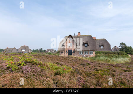 Kampen, l'île de Sylt, Schleswig-Holstein, Allemagne Banque D'Images