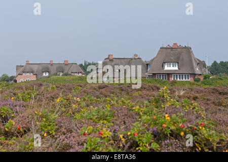 Maisons d'adobe, Kampen, l'île de Sylt, Schleswig-Holstein, Allemagne Banque D'Images