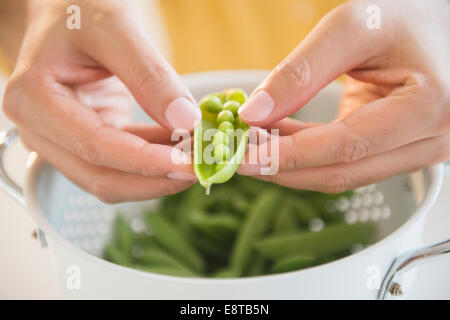 Close up of mixed race man shucking pois en passoire Banque D'Images