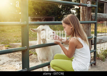 Caucasian girl petting goat farm Banque D'Images