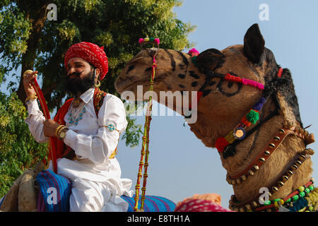 L'homme monté sur un chameau à Pushkar camel fair, Pushkar, Ajmer, Rajasthan, Inde Banque D'Images