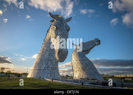 Les Kelpies Banque D'Images