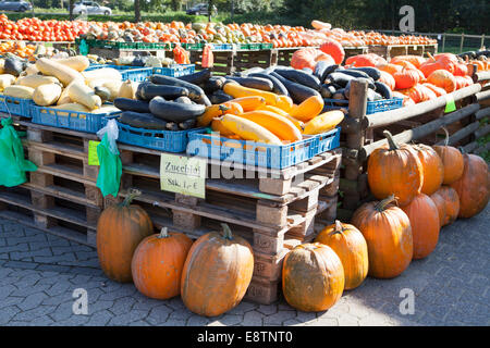 Différentes courges et citrouilles, courges, pour la vente, l'Allemagne, de l'Europe Banque D'Images