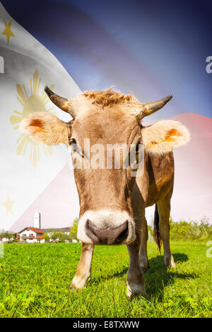 Vache avec drapeau sur la série d'arrière-plan - Philippines Banque D'Images