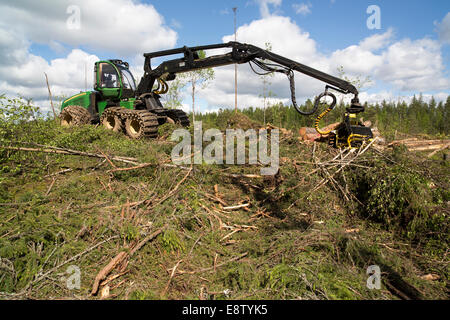 Moissonneuse forestière verte John Deere 1170E dans une zone de coupe dégagée de la forêt de taïga , Finlande Banque D'Images