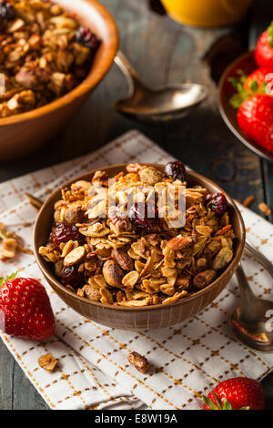 Granola Maison saine avec les écrous et les canneberges séchées Banque D'Images