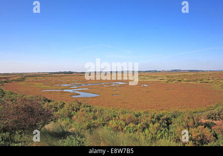 Une vue sur les marais salés à vers Burnham Overy Staithe, North Norfolk, Angleterre, Royaume-Uni. Banque D'Images