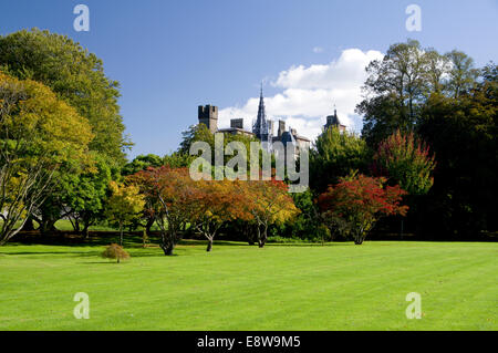 Couleurs d'automne, le château de Cardiff, Bute Park, Cardiff, Pays de Galles. Banque D'Images