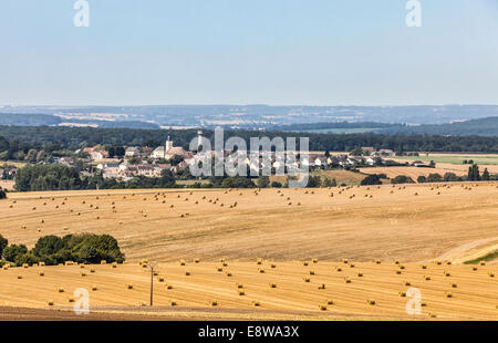 Beau paysage d'été avec des champs de foin traditionnel situé dans la région du Perche de la France. Banque D'Images