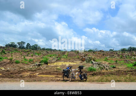 Un vélo et le déboisement au Nigeria (l'état de Cross River) pendant la saison des pluies, ce qui rend l'espace pour les palmiers Banque D'Images