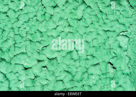 La texture de la peinture vert craquelé. Vieux et patiné et peint en vert surface craquelée Banque D'Images