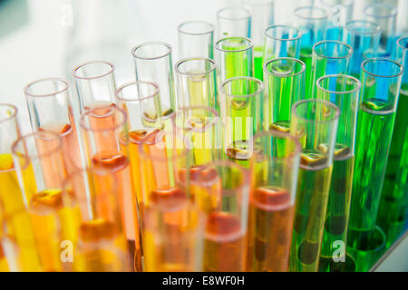 Close up of rack de tubes à essai avec la solution in lab Banque D'Images