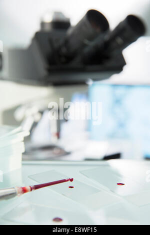 Close up of pipette dropping échantillon sur microscope in lab Banque D'Images