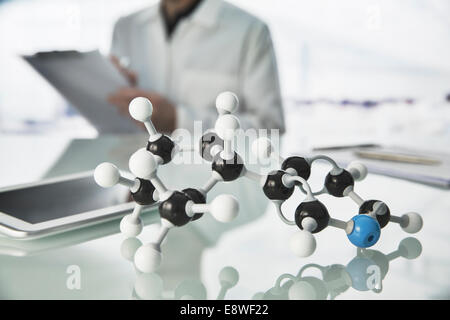Expert scientifique en travaillant avec le modèle moléculaire et digital tablet in lab Banque D'Images