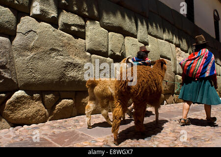 Une femme et ses lamas à côté de la pierre de 12 angles. Cette pierre est bien connu, la particularité qui a fait sa célèbre est la prés Banque D'Images