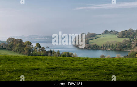 Trelissick Garden, Feock, Truro, Cornouailles, Royaume-Uni. La vue depuis la maison au petit matin, en regardant vers le bas de l'estuaire de la rivière FAL aux routes Carrick Banque D'Images