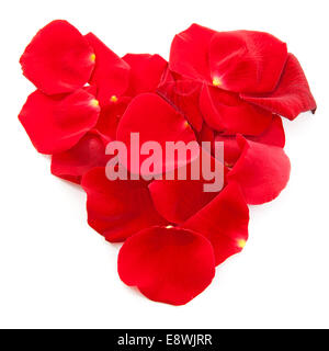Pétales de rose rouge en forme de coeur sur fond blanc Banque D'Images