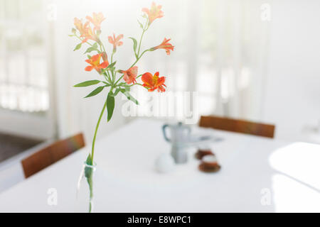 Close up de fleur dans un vase sur la table de salle à manger Banque D'Images