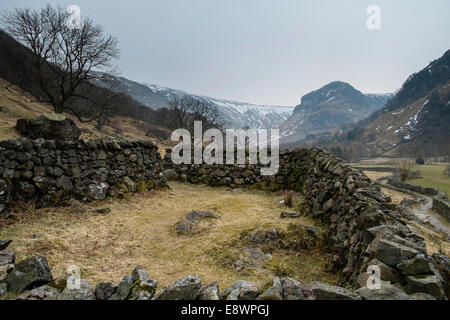 Stonethwaite vue sur la vallée vers Eagle Crag, Borrowdale, Lake District, Angleterre Banque D'Images