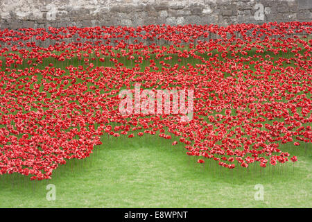 Coquelicots sculpture à la Tour de Londres pour commémorer le centenaire de la première guerre mondiale Banque D'Images