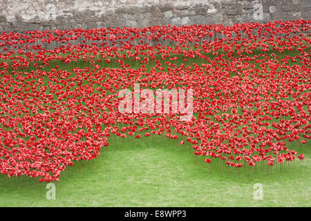 Coquelicots sculpture à la Tour de Londres pour commémorer le centenaire de la première guerre mondiale Banque D'Images