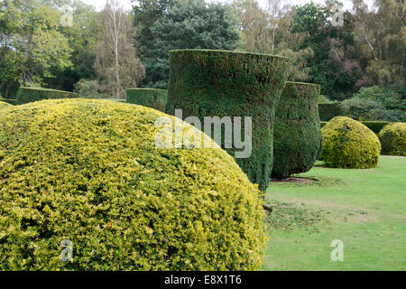 Couvertures en forme à Elvaston Hall, Derbyshire, Angleterre. Banque D'Images