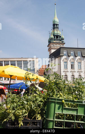 Place du marché du chou (Zelny trh) Brno, République Tchèque Banque D'Images