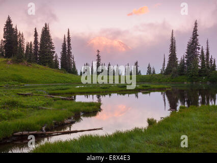 Parc national de Mount Rainier, Washington : le brouillard entoure le Mont Rainier au lever du soleil à partir de la partie supérieure du lac Tipsoo Banque D'Images