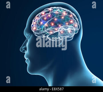 Les neurones du cerveau synapse dans la tête humaine isolé sur fond blanc Banque D'Images