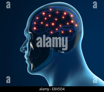 Les neurones du cerveau synapse dans la tête humaine isolé sur fond blanc Banque D'Images