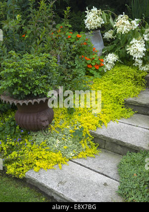 Vashon-Maury Island, WA : marches de pierre menant à un jardin d'été avec des plantes en pot et de fleurs Banque D'Images