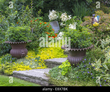 Vashon-Maury Island, WA : marches de pierre menant à un jardin d'été avec des plantes en pot et de fleurs Banque D'Images