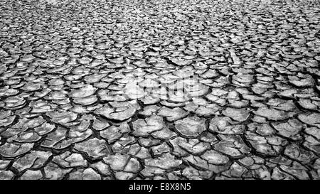 La terre de la sécheresse en morceau, le changement climatique faire extreame, météo par champ sec sans eau chaude et saison, cette cause par le réchauffement global Banque D'Images