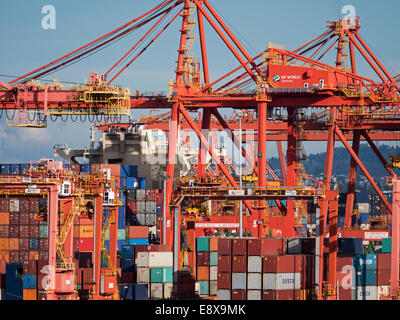 Transport maritime des conteneurs d'expédition Centerm container terminal DP World facility Port Metro Vancouver Canada Banque D'Images