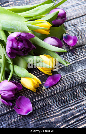 Bouquet de tulipes jaunes et violettes sur un fond de bois Banque D'Images